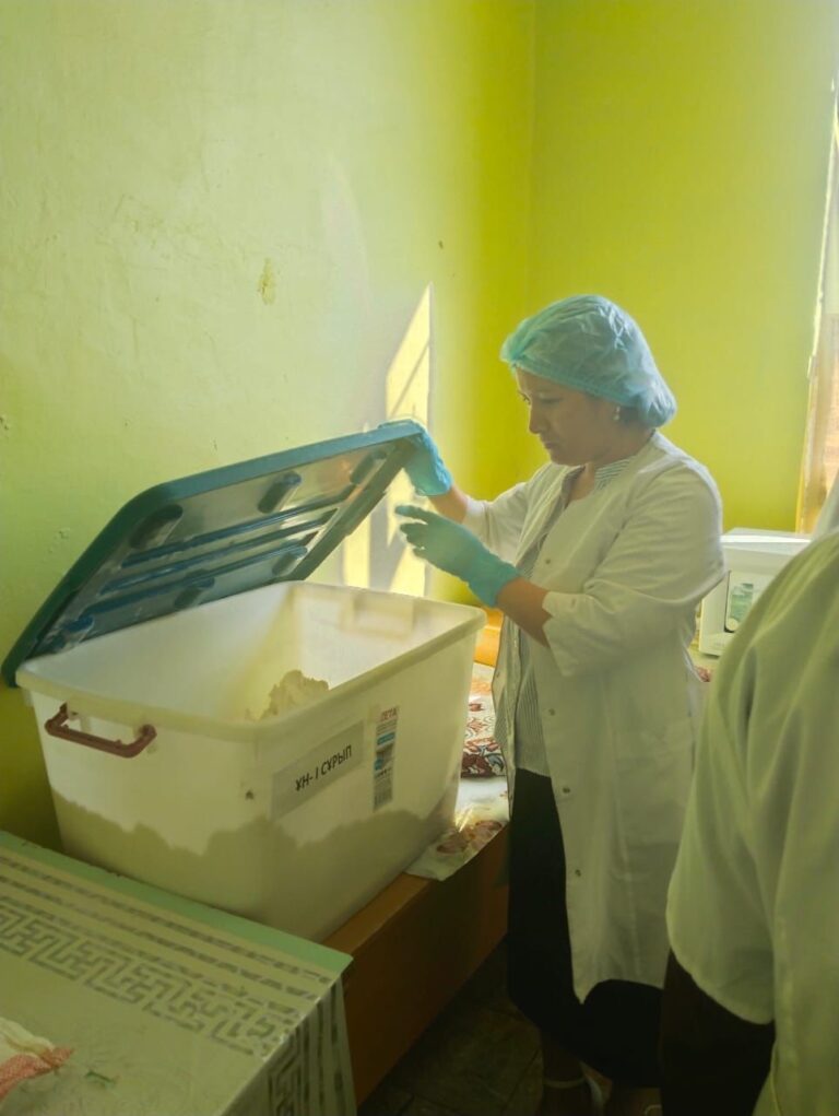 WhatsApp Image 2025-04-08 at 13.21.05 (3)