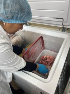 WhatsApp Image 2025-11-15 at 18.13.03 (1)