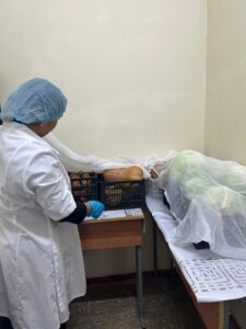 WhatsApp Image 2025-11-15 at 18.13.04 (1)