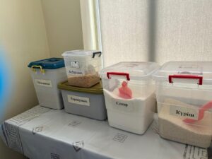 WhatsApp Image 2025-11-15 at 18.13.05